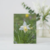 Narcis Briefkaart (Staand voorkant)