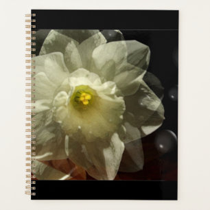 Narcis Dromen Planner