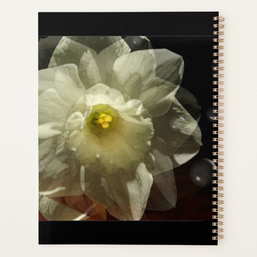 Narcis Dromen Planner (Achterkant)