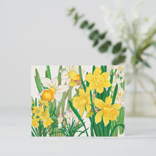 Narcis Houtsnede Schildering Briefkaart