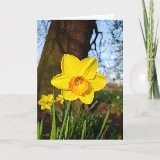 Narcis in de Park Kaart (Voorkant)