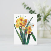 Narcis maart bloemen briefkaart (Staand voorkant)
