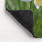 Narcis Muismat (Hoek)