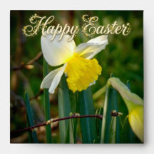 Narcis & Pasen wensen