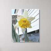 Narcis portret canvas afdruk (Voorkant)