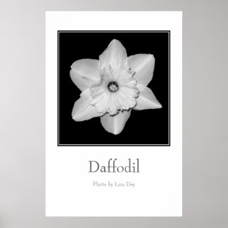 'Narcis' Poster