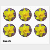 narcis sticker (Vel)