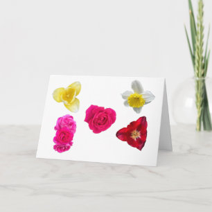 Narcis, Tulpen en Rozen Kaart