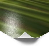 Narcisse de printemps blanc, Photographie florale (Coin)