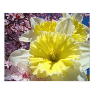 Narcissen Bloemen Fotografie kunstprints Lente Foto Afdruk
