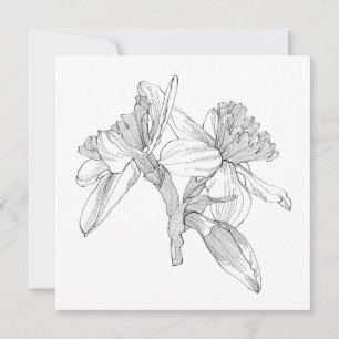 Narcissen bloemen lijn boeket. notitiekaartje