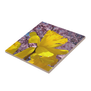 Narcissen Bloemen Tegels Kunst Decoratie Lente Tegeltje