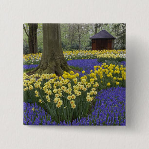 Narcissen, druifhyacint, en tulpen tuin, vierkante button 5,1 cm