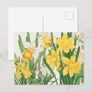 Narcissen-houtsnijwerk-schilderij, Tanigami Kônan, Briefkaart