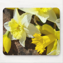 NARCISSEN Narcis Bloemen MUISMATJE MUIS PAD