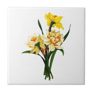 Narcissen of Narcissus Door Pierre Joseph Redoute Tegeltje