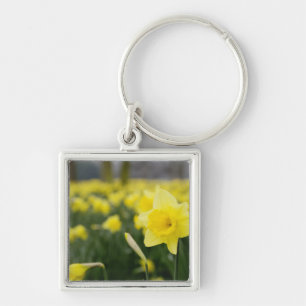Narcissen (RF) Sleutelhanger