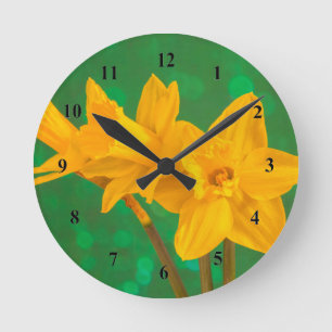 Narcissen Ronde Klok