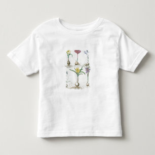 Narcissi, Crocuses en Hyacinth: 1.Narcissus autum Kinder Shirts