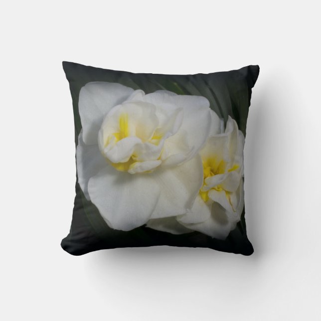 Narcissus Daffodil Coussin (Recto)