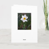 Narcissus Gefeliciteerd Kaart (Achterkant)
