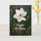 Narcissus Gefeliciteerd Kaart (Gele Bloem)