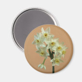 Narcissus Magnet Magneet (Voorkant / Achterkant)