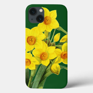 Narcissus (N Tazetta) iPhone 13 Hoesje