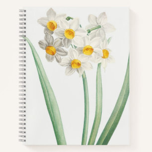 Narcissus, Pierre-Joseph Redouté, 1805 Notitieboek