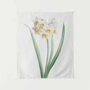 Narcissus, Pierre-Joseph Redouté, 1805 Wandkleed