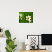 Narcissus Poster (Thuiskantoor)