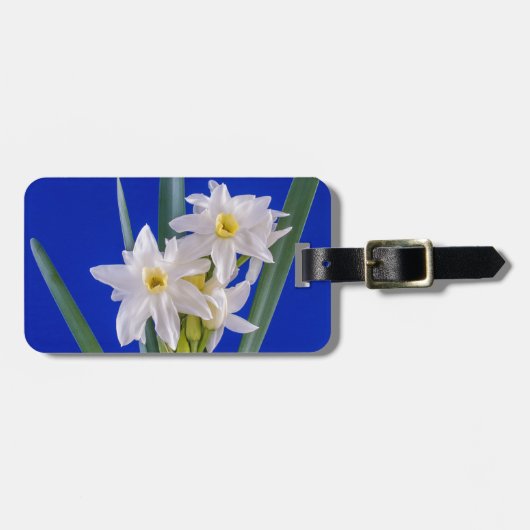 Narcissus Spring Bagagelabel (Voorkant horizontaal)