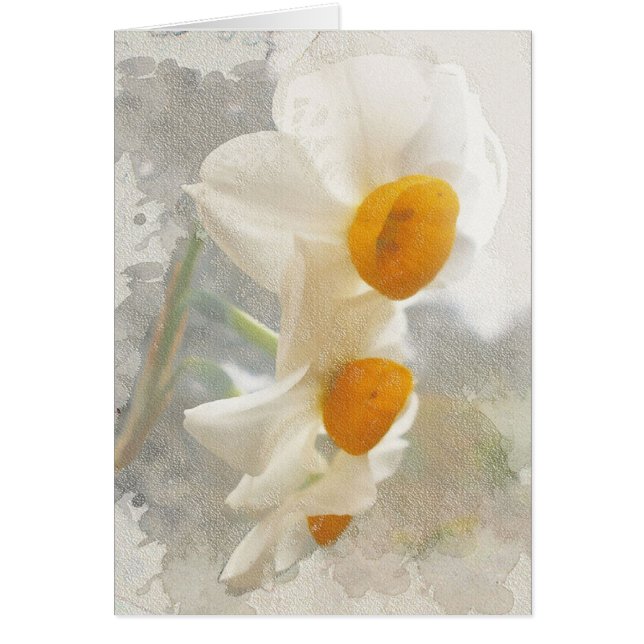 Narcissus. Waterverf. (Voorkant)
