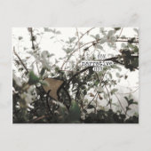 (((((narratief)))) briefkaart (Voorkant)