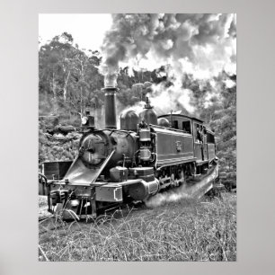 Narrow Gage Steam Train Black en White Poster