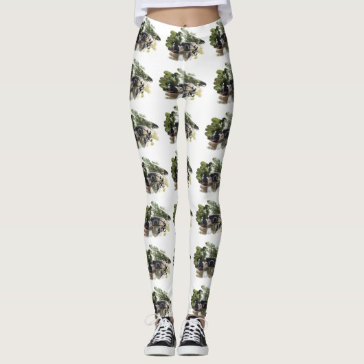 NARROWBOATS LEGGINGS (Voorkant)