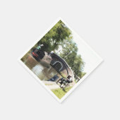 NARROWBOATS SERVET (Hoek)