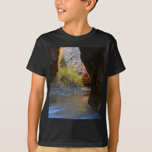 Narrows in Zion National Park T-shirt