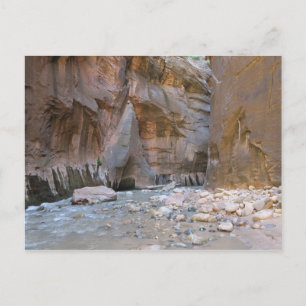 Narrows Zion National Park Briefkaart