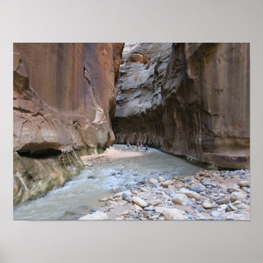 Narrows Zion National Park Poster (Voorkant)
