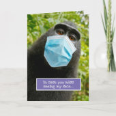 Naruto de Crested Macaque Monkey Selfie Kaart (Voorkant)