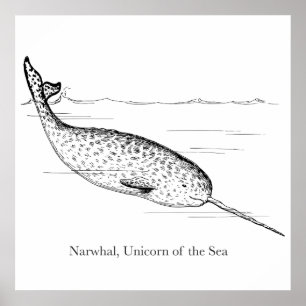 Narwal Walvis Eenhoorn van de Zee Poster