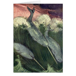 narwallen, zeewalvissen en zeedieren