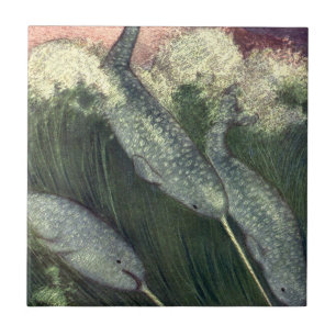  narwallen, zeewalvissen en zeedieren tegeltje