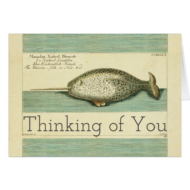 Narwhal Antiek walvis Waterverf Scientific Art (Voorkant Horizontaal)