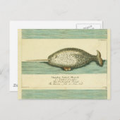 Narwhal Antiek walvis Waterverf Scientific Art Briefkaart (Voorkant / Achterkant)