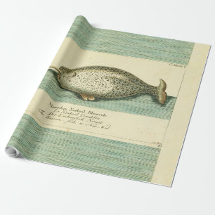 Narwhal Antiek walvis Waterverf Scientific Art Cadeaupapier