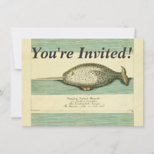 Narwhal Antiek walvis Waterverf Scientific Art Kaart