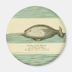 Narwhal Antiek walvis Waterverf Scientific Art Magneet