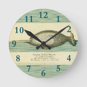 Narwhal Antiek walvis Waterverf Scientific Art Ronde Klok